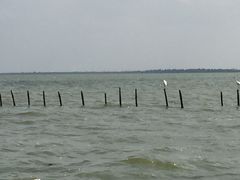 -东寨港红树林旅游区