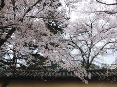 -醍醐寺
