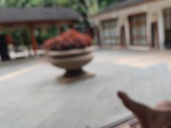 -碧水湾温泉