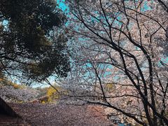 -中国茶叶博物馆(双峰馆区)