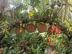 -中国科学院西双版纳热带植物园