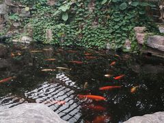 -龙达温泉生态城
