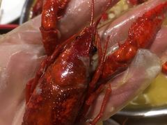 -杨氏青龙虾·羊蝎子(金盛路总店)