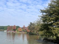 -海珠湖公园