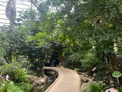 -南山植物园