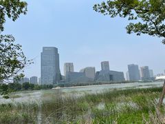 -金沙湖公园