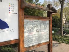 -新江湾城公园