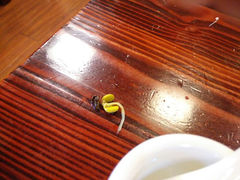 android_upload_pic-乌江鱼杭帮菜(西湖店)