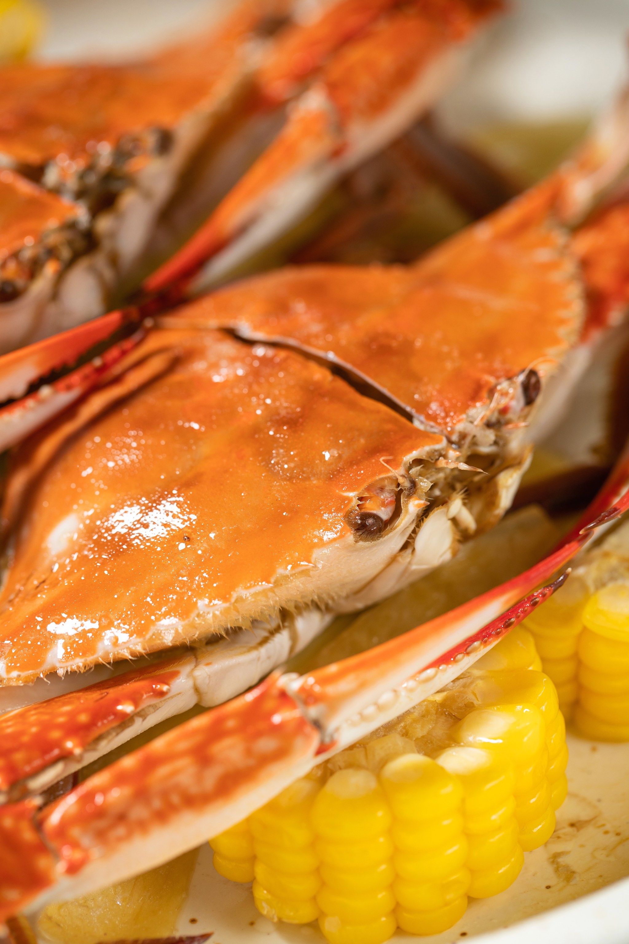 东海梭子蟹,18小时新鲜到店