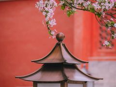 -故宫博物院(故宫)