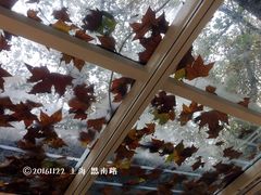 -Onirii Coffee(长乐路店)