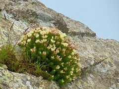 -灵山