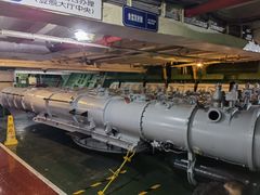 -泰达航母主题公园