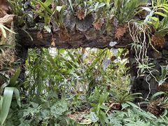 -华南国家植物园-售票处