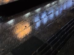 -肖肖酸萝卜鱼火锅(总店)