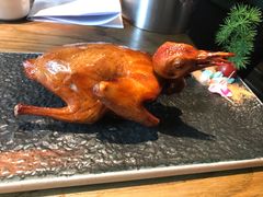 -大鸽饭(岗顶店)