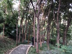 -重庆彩云湖湿地公园