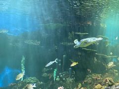 -华夏文旅海洋公园