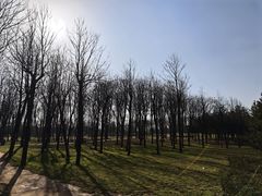 -洨河生态公园