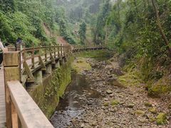 -凤栖山