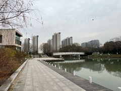 -九里河湿地公园