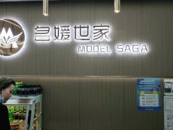-MODEL SAGA名媛世家