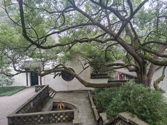 -虎跑公园