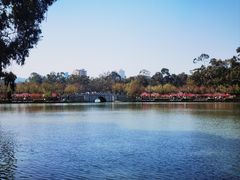 -西湖公园(鼓楼区)