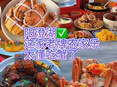 -品鲜村农家菜·阳澄湖大闸蟹(总店)
