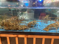 -都市阳光海鲜城(青山湖店)