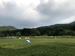 -武陵山森林公园