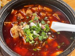 -曾牛肉