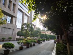 -重庆医科大学附属第一医院(本部)