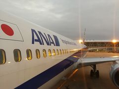 -全日本空输株式会社(上海办事处)