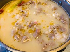 大骨锅-大胖骨汤火锅(裕华店)