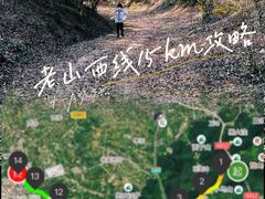 -老山国家森林公园