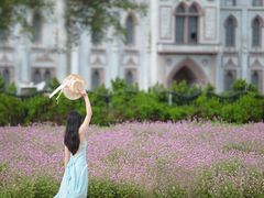 -玫瑰海岸文化旅游度假区
