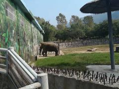 -西安秦岭野生动物园