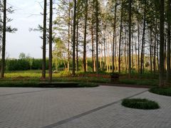 -黄海国家森林公园