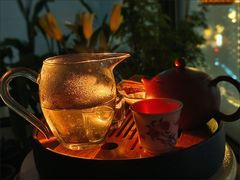 -新湖明珠城