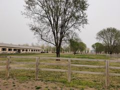-北京群众马术培训基地