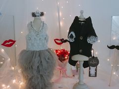 -BABYDOG宝贝狗宠物乐园(欧洲城店)