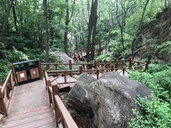 -大岭沟猕猴桃谷风景区