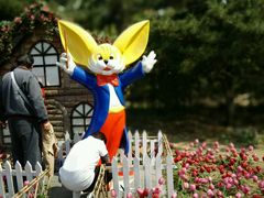 -朝阳公园游乐园