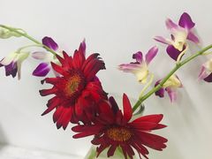 -孟氏拔罐(纬一路店)
