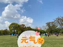 -上海滨江森林公园