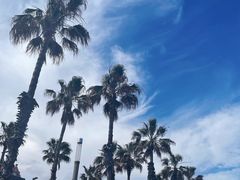 -小巴塞罗那海滩