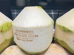 -三亚太阳湾柏悦酒店