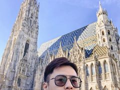 -斯蒂芬主教座堂(Stephansdom)