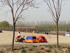 -东郊湿地公园